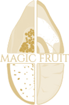 Логотип Magic Fruit